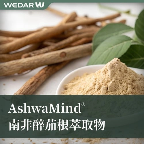 AshwaMind® 南非醉茄萃取物
