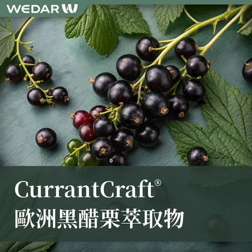 CurrantCraft® 欧洲黑醋栗萃取物