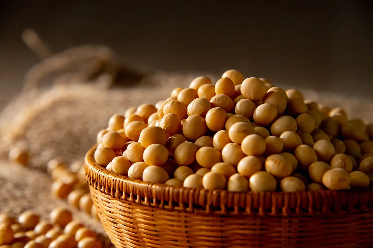 专利大豆萃取物